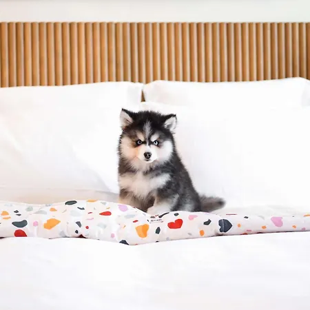 Hotel Mama Shelter Prague