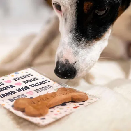 Mama Shelter Πράγα