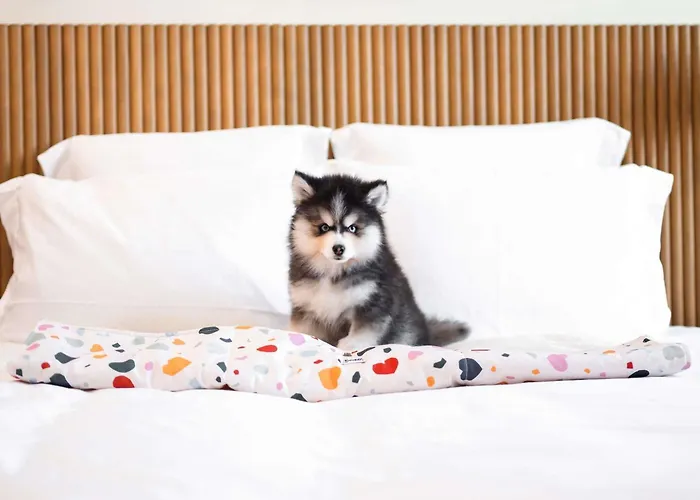 Mama Shelter